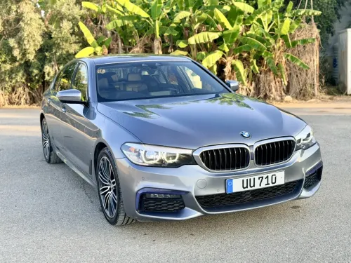 2019 Model Otomatik BMW 5 Serisi
